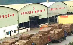 建筑模板廠(chǎng)家哪里多?廣西地區(qū)的多嗎?